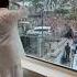 Salman Khan Greets Everyone Eid Mubarak