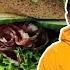 David So On America S Best Sandwiches The Hit List