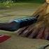 Earth Spirit S Sneaky Moves Part 9