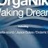 Waking Dream Rick Tedesco Remix