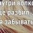 АНАСТАСИЯ КОЖЕВНИКОВА КОКОН Текст песни