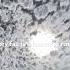 Rise Shorts Short Shortvideo Youtube Youtubeshorts Viral Trending Nature Sky Birds