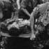 The Ballad Of The Green Berets Wmv