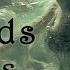 Legends Of The Sea Maiden Ambient Floating Relaxing 30 Min