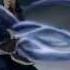 Avatar Korra Monster Skillet