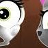 LPS A World Of Our Own Welcome To Paw Tucket Stadium Digital Short