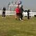 Examen BH Turnu Kalypsoland Jecky Van De Utadreef Excelent 60 Puncte
