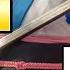 Shamisen Japanese Traditional Musical Instrument Explained