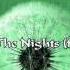 Avicii The Nights Official Lyrics