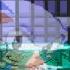 Sonic Didn T Survive Sonic Exe Nightmare Beginning Final Update Good Ending