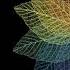 Rainbow Leaves Animated Samsung Galaxy Theme
