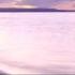 Sunlight Project Golden Shores Talamanca Remix