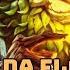Ivern Amigo Da Floresta League Of Legends