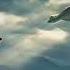 KUNG FU PANDA 4 EDIT Seven Nation Army Epic Version