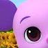 Pinkfong Wonderstar Finding Your Finish Animation Cartoon For Kids Pinkfong Hogi