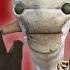 How To ACTUALLY Kenshi THE ULTIMATE GUIDE