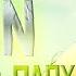 Jay Sean Down Ft Lil Wayne BassWar X CaoX Hardstyle Remix