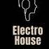 Bruny Electro House Vintage Original Mix