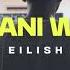 Armani White Billie Eilish CryGene Remix