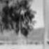 Mazzy Star Fade Into You