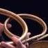 GEORGE FREDERIC HANDEL Suite In F Major Water Music LE CONCERT SPIRITUEL