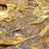 Gold From LAVA In The Wild We Hiked Deep Into The Wild And Discovered Gold