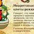 ПОДВОРЬЕ ЦВЕТОВ РАЗГАДАЙТЕ ТРЕТЬЮ ЗАГАДКУ ЦВЕТОВ КРАСКИ ФИАЛКОВОГО САДА GENSHIN IMPACT 2 6