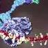 DNA Animation 2002 2014 By Drew Berry And Etsuko Uno Wehi Tv ScienceArt