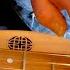 GO TELL AUNT RHODY Dulcimer Solo