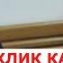 ЁЛГОН ГУВОХЛИК БЕРИБ КАСОФАТИ УРГАН