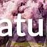 Alan Walker Nature New Song 2020