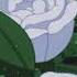 SAINt JHN Roses Slowed Reverb