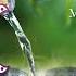 3 HOURS Zen Meditation Music Nature Sounds Relaxing Music Calming Music Healing Music By Vyanah