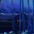 Blue Bamboo Tribal Night Dance Music Eurodance Remix Techno Rave Electro House Trance Mix