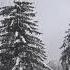Kerem Güney Winter