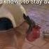 Beware A Mother S Wrath Pup Stuff Doggy Fights
