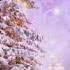 Salvatore Adamo Tombe La Neige