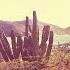 VA Destinations Vol 4 Full Album