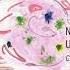 Noha B Nevernap NAB003 Nabuco
