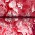 Nightcore Murder