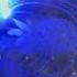 Doesn T This Laser S Color Look Like Gatling In Blue Flames Let S Feel The Charm Together