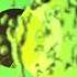 Imar Feelings Original Mix AVE022