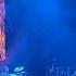 Zac Brown Band LIVE Day That I Die