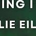 Billie Eilish Everything I Wanted Lyrics