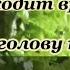 Весеннее танго Приходит время люди голову теряют караоке