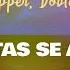Peipper Doble P SI LAS GATAS SE AMOTINAN Letra