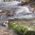5 Second WILD RIVER Countdown ORIGINAL SOUND Short