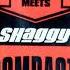 DJ Quicksilver Meets Shaggy Boombastic Catwalk Mix 2001