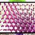 Gummibär GUMMY BEAR RUSSIAN KUMMIPEA IN 3 WEIRD ORIGINAL EFFECTS PART 1 SHORTS