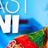Unleashing The Power Of Japani Remix In The Latest AFGHAN SONGS 2024